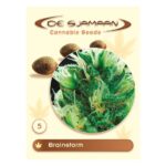 Brainstorm Regular 5 seeds