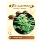 Easy Rider Regular 5 seeds
