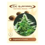 Ingemar's Punch Regular 5 seeds