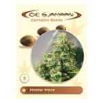 Master Haze Regular 5 seeds