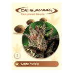 Lady Purple Feminised 3 seeds