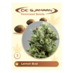 Lemon Bud Feminised 3 seeds