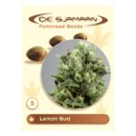 Lemon Bud Feminised 5 seeds