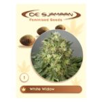 White Widow Feminised 1 seed
