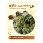 Dwarf Ryder Autoflowering 3 seeds