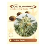 Widow Ryder Autoflowering 1 seed