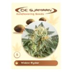 Widow Ryder Autoflowering 5 seeds