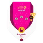 Amnesia Haze Feminized 3 seeds