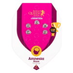 Amnesia Haze Feminized 5 seeds