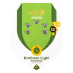 Northern Light Automatic 5 seeds