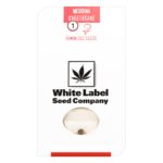 Wedding Cheesecake Feminized 1 seed