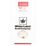 Gelato #420 Feminized 1 seed