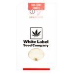 Girl Scout Cookies Feminized 1 seed