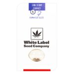 Girl Scout Cookies Feminized 5 seeds