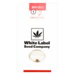Guava Jelly Feminized 1 seed
