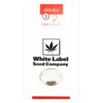 Guava Jelly Feminized 3 seeds