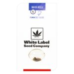 Guava Jelly Feminized 5 seeds