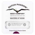 Autoblackberry Kush 3 seeds