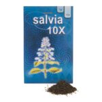 Salvia 10X Extract 1g