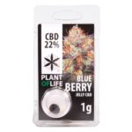 CBD Jelly 22% Blueberry 1g
