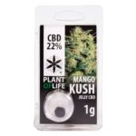CBD Jelly 22% Mango Kush 1g