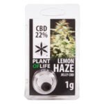 CBD Jelly 22% Lemon Haze 1g