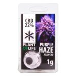 CBD Jelly 22% Purple Haze 1g