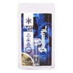 Terpene Blueberry 1ml