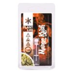 Terpene Mango Kush 1ml